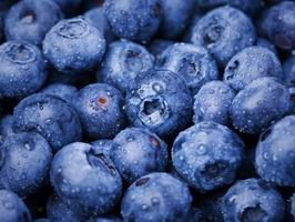 �c���鿴Ԕ��