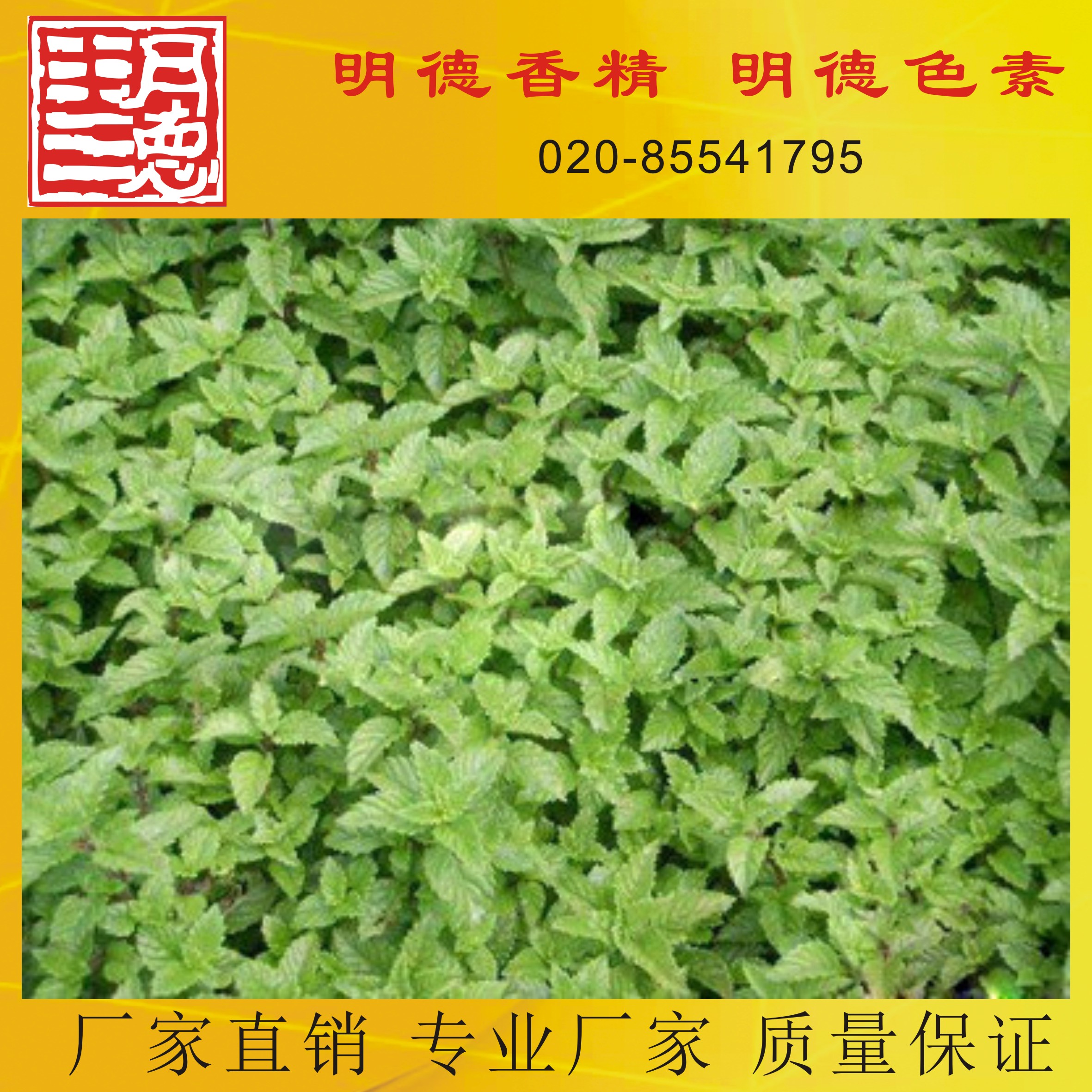 �c(di��n)���鿴Ԕ��(x��)